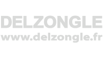 Delzongle